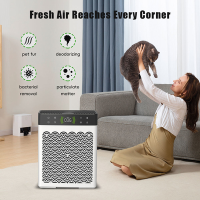 Good price Deshumidificador y purificador de aire para interiores, basura de gato y desodorante de orina para perros. en línea